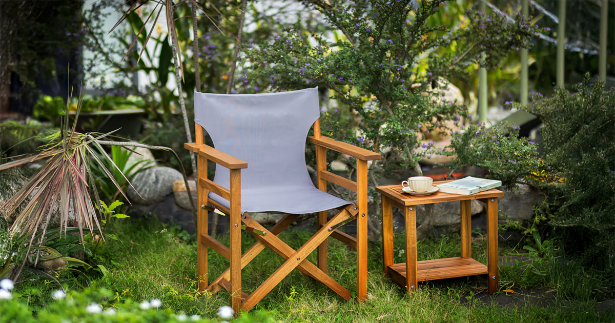 Director Chair