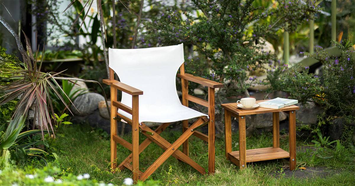 Director Chair