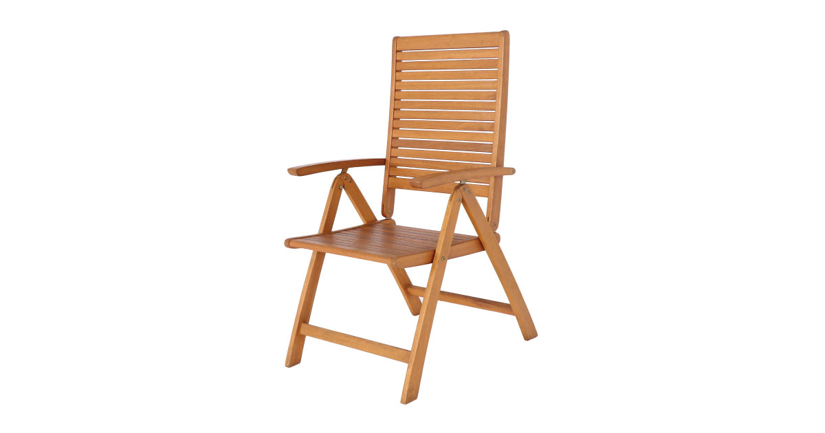Verda Recline Five Position Chair