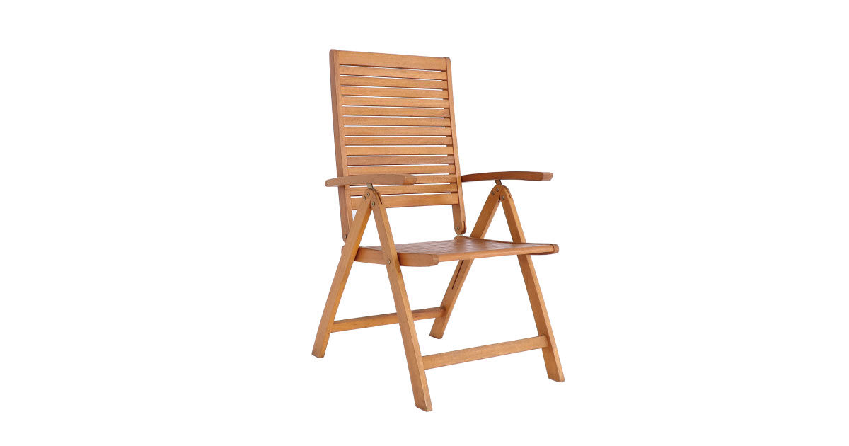 Verda Recline Five Position Chair