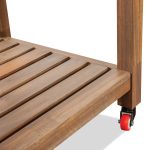Beledo Planter with Wheels | Modern Wooden Mobile Planter for Indoor & Outdoor Spaces