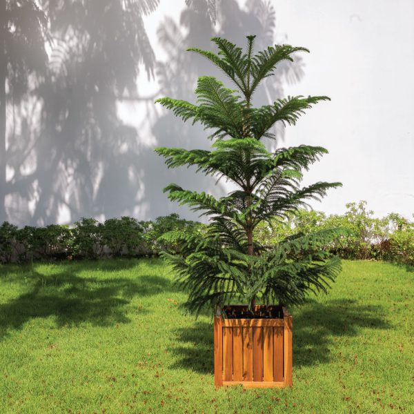 Ladena Square Flower Box – Elegant Square Planter for Modern Indoor & Outdoor Spaces