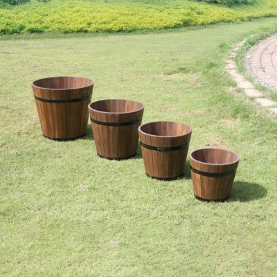 Dietes flower pot set