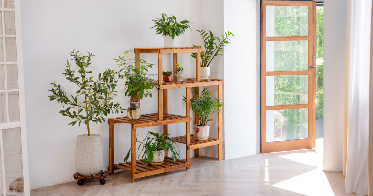 Gedo Flower Shelf 8 Pots – Elegant Wooden Plant Stand for Indoor & Outdoor Spaces 3 Gedo Flower Shelf 8 Pots – Elegant Wooden Plant Stand for Indoor & Outdoor Spaces
