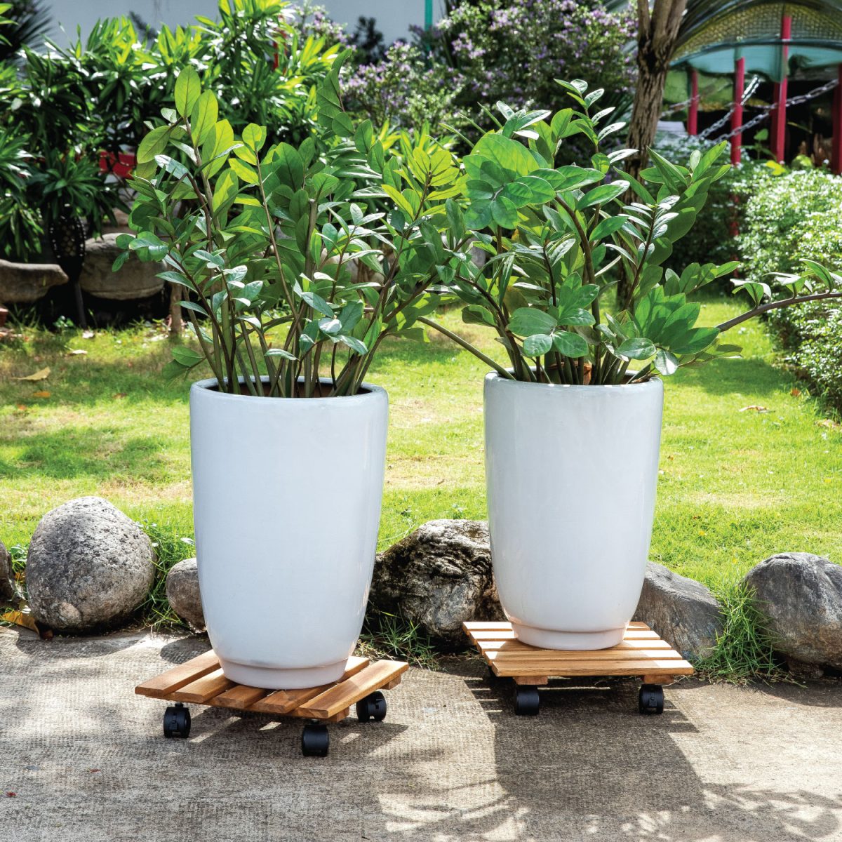 Square Caddy