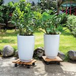 Square Caddy